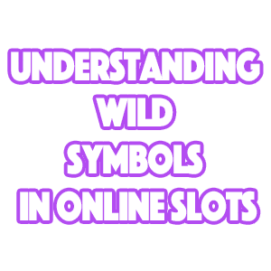 understanding wild symbols